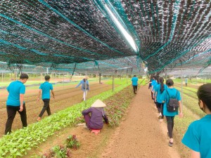 Thực hiện kế hoạch dạy học gắn với cơ sở sản xuất kinh doanh tại Vườn rau sạch xóm Vĩnh Xuân- xã Hưng Đông : “Kỹ thuật trồng và chăm sóc rau” cho các em học sinh lớp 9A3